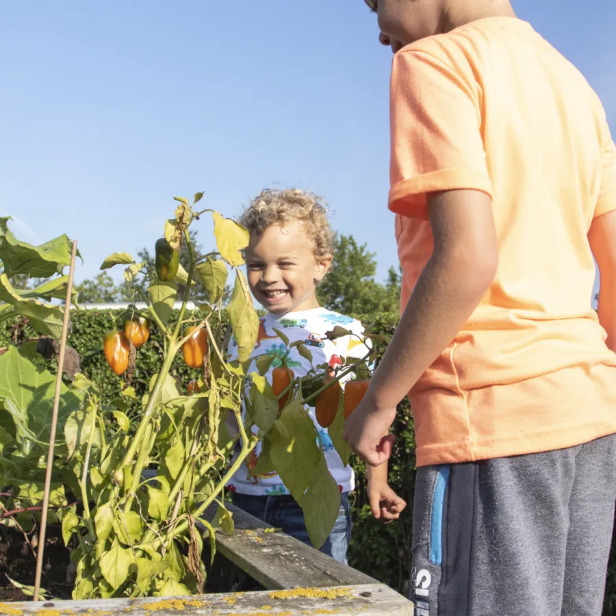 Sfeer park Camping de molenhoek 2022 Dubbeldwars 84